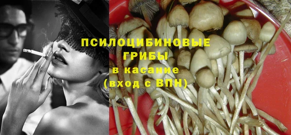 прущие грибы Алексеевка