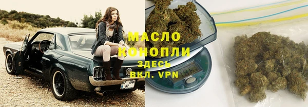 дмт Няндома